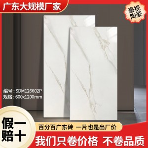 广东佛山陶瓷墙砖600×1200通体大理石无线连纹 大量现货工程砖